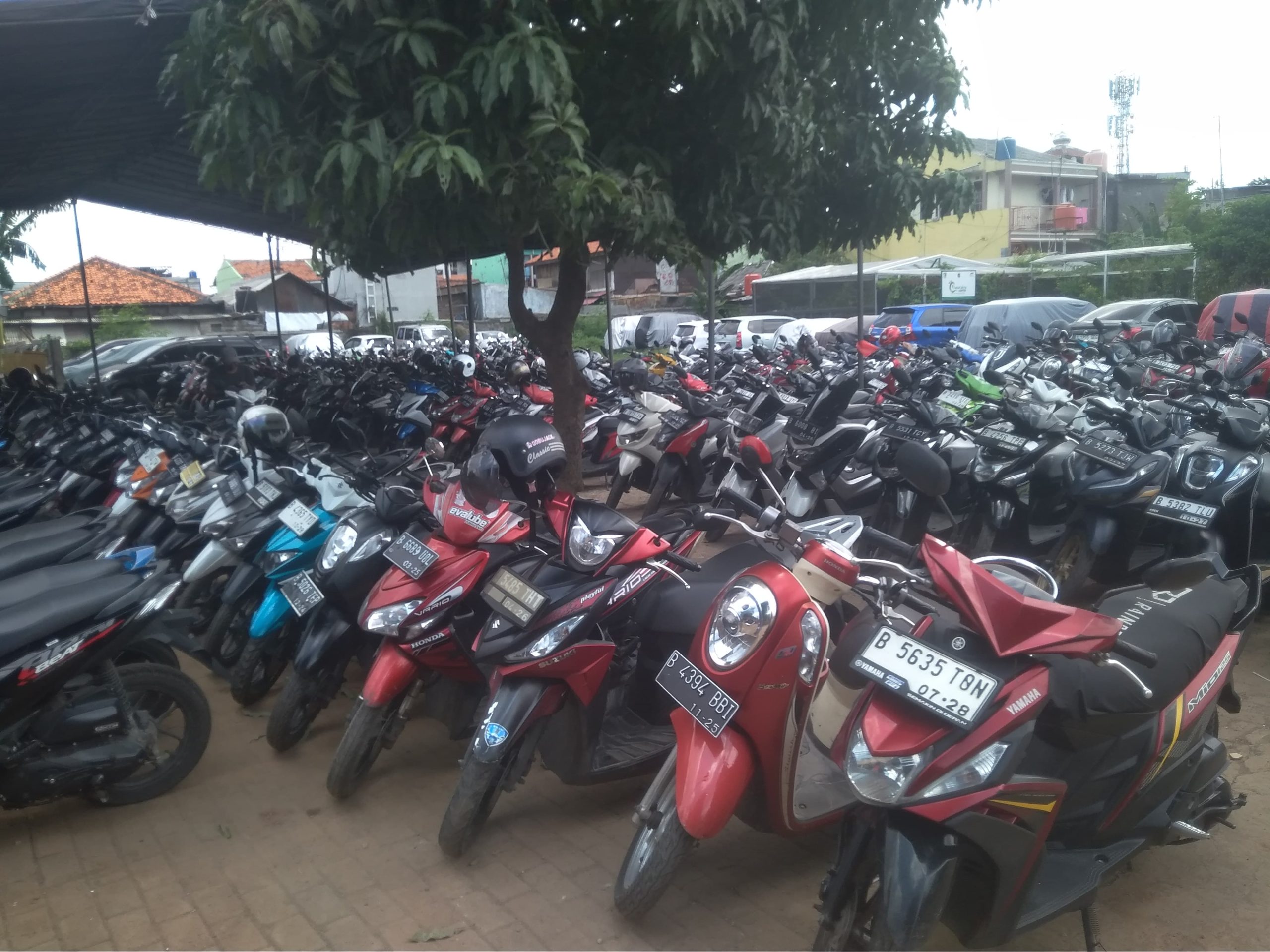 IMG-20240622-WA0083